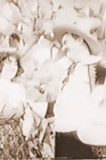 The Fickle Spaniard (The Fickle Spaniard)