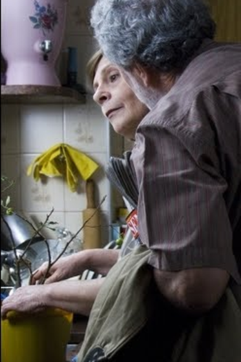 Poster de Curta Rosa e Benjamin (2009)