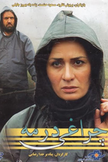 Uma Luz na Neblina (A Light in the Fog)