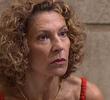 Épisode 255