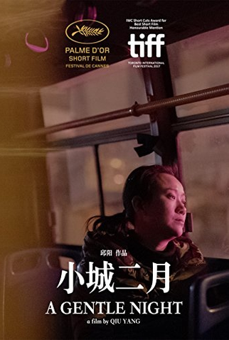 Poster 1 de Curta A Gentle Night (2017)