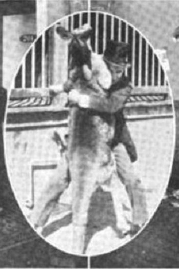 Poster de Curta Wanted - A Bad Man (1917)