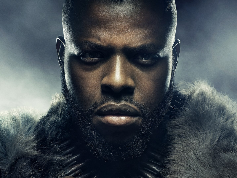 Foto 13 de Pantera Negra