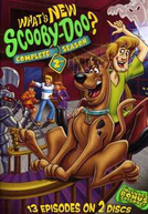 O Que Há de Novo, Scooby-Doo? (2ª Temporada)