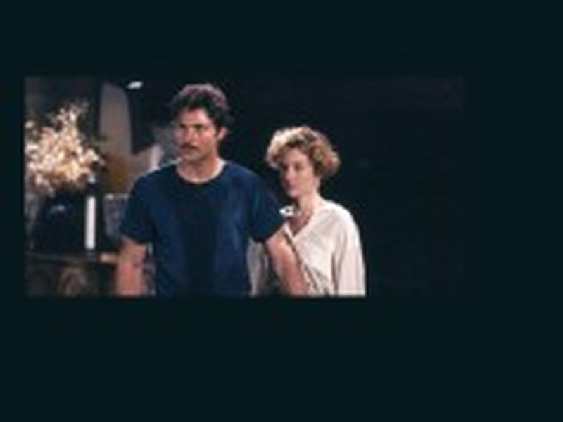 Foto 1 de O Ano do Cometa