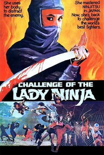 Challenge of the Lady Ninja - Poster / Capa / Cartaz - Oficial 2