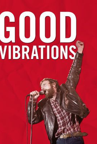 Poster 5 de Filme Good Vibrations (2012)