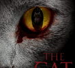 O Gato