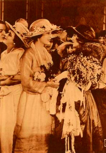 Estrela Matutina (The Star Boarders)