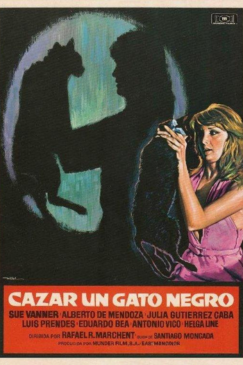 Poster de Filme Cazar un Gato Negro (1977)