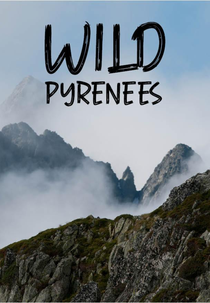 WILD PYRENEES (Wilde Pyrenäen)