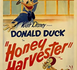 Honey Harvester 