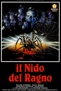 The Spider Labyrinth - Poster / Capa / Cartaz - Oficial 2