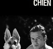 Le Chien