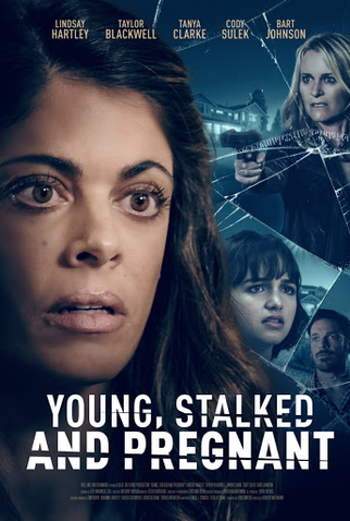 Poster 1 de Filme Grávida e Perseguida (2020)