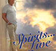 Justin Hayward: Spirits... Live