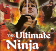 The Ultimate Ninja