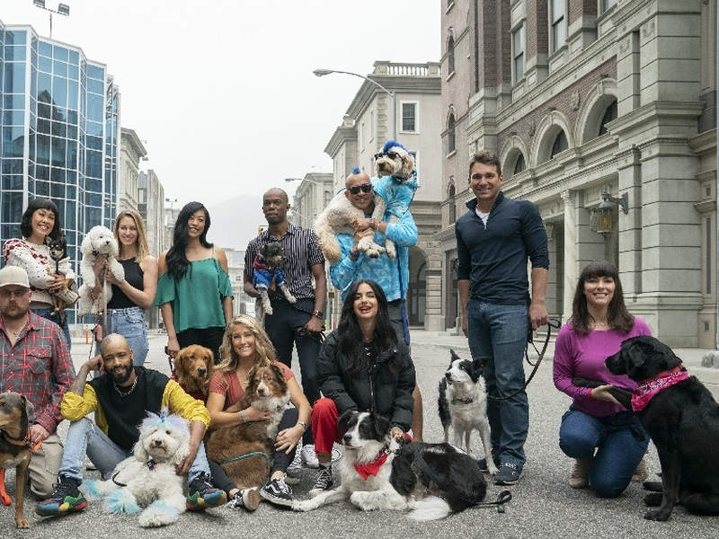Foto 3 de The Pack (1ª Temporada)