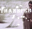 Transferência