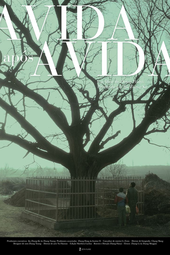  de Filme A Vida Após a Vida (2016)