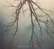 Deepsouth 