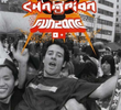 Super Champion Funzone