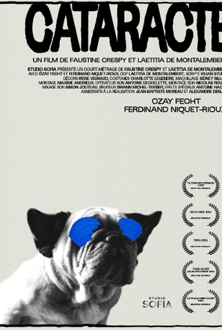 Poster 1 de Curta Catarata (2021)