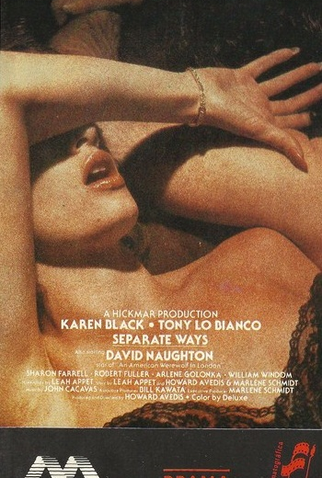 Poster 1 de Filme Caminhos Separados (1981)