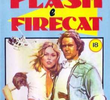 Flash e Firecat