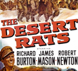 Ratos do Deserto