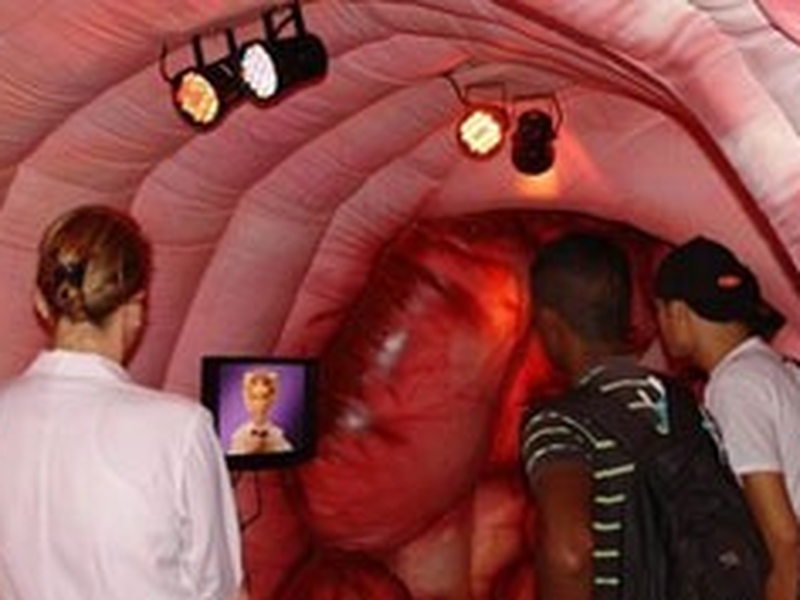 Foto 1 de Cidade do Intestino Grosso