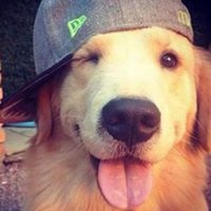 Foto de perfil de Renato
