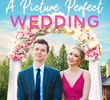 A Picture Perfect Wedding