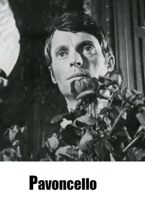 Pavoncello (Pavoncello)