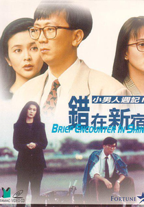 Brief Encounter in Shinjuku (Cuo zai xin xiu)