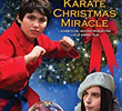 A Karate Christmas Miracle