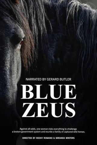 Poster 1 de Filme Blue Zeus (2025)