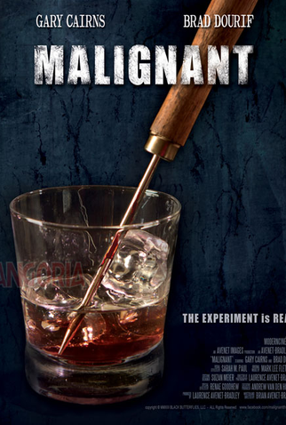 Poster 2 de Filme Malignant (2013)