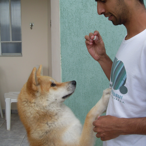 Foto de perfil de Bruno