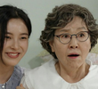 23회
