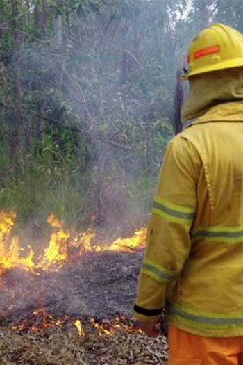 Poster de Episódio Wildfire (2022)