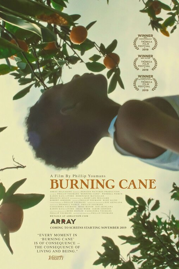  de Filme Burning Cane (2019)