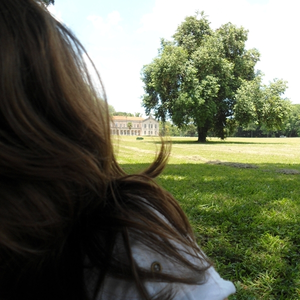 Foto de perfil de Larissa