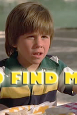 Poster 1 de Filme Em Busca De Um Filho (1980)
