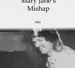 O Acidente de Mary Jane