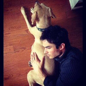 Foto de perfil de Lê Somerhalder