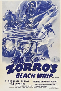 O Chicote do Zorro - Poster / Capa / Cartaz - Oficial 1