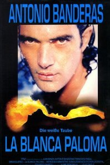  de Filme A Paloma Branca (1989)