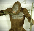 Bigfoot Moon Rising