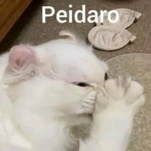 Foto de perfil de Bianca Queiroz